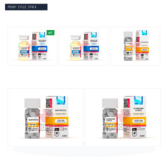 Classic Bulking Cycle: Testosterone + Deca + Dianabol + PCT (Hilma Biocare — 10 Weeks)